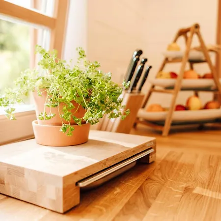 Modern Tiny House In Oldenburg Countryside Holiday home