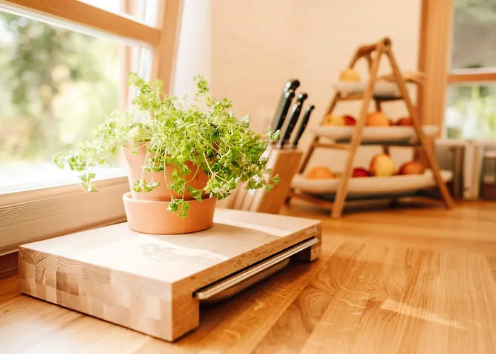 Modern Tiny House In Oldenburg Countryside 度假居